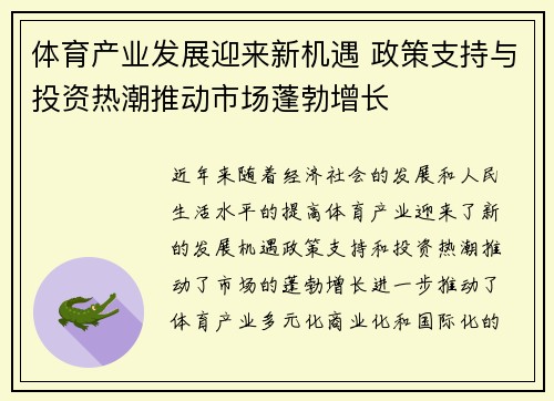 体育产业发展迎来新机遇 政策支持与投资热潮推动市场蓬勃增长
