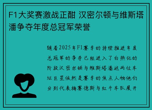 F1大奖赛激战正酣 汉密尔顿与维斯塔潘争夺年度总冠军荣誉