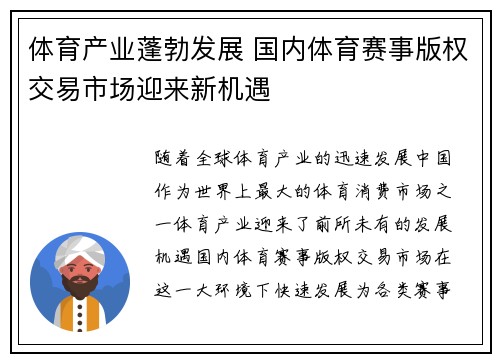 体育产业蓬勃发展 国内体育赛事版权交易市场迎来新机遇